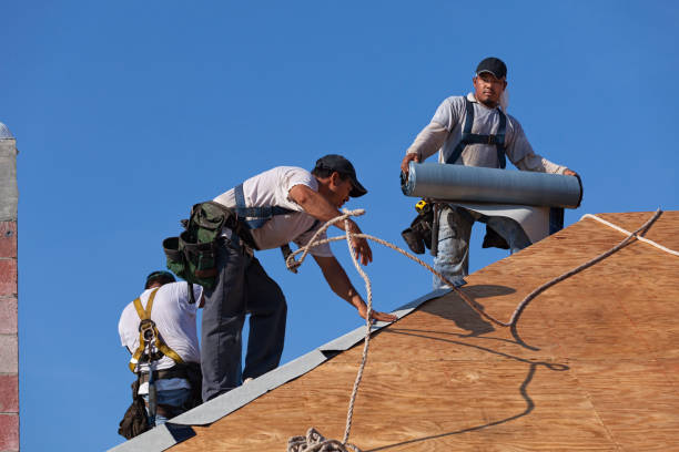 Best Roof Gutter Cleaning  in Hooverson Heights, WV