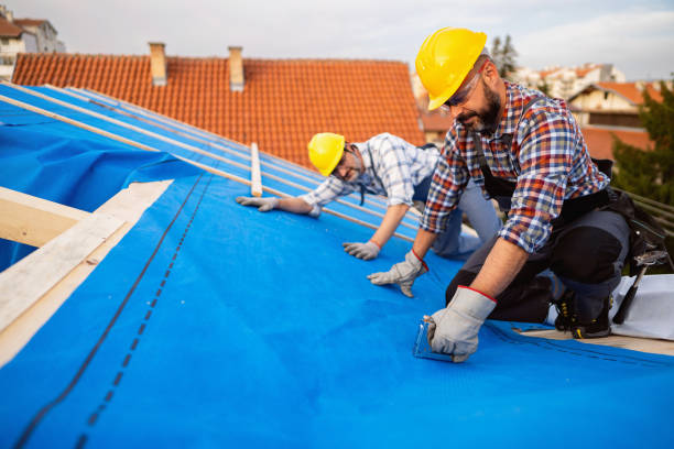 Roof Gutter Cleaning in Hooverson Heights, WV